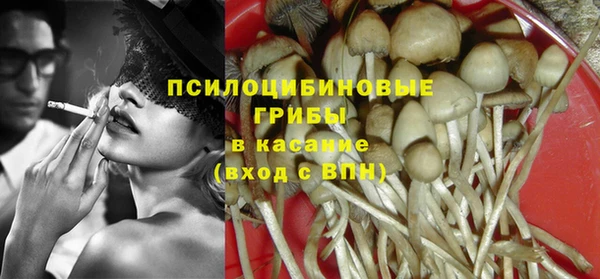 крисы Новозыбков