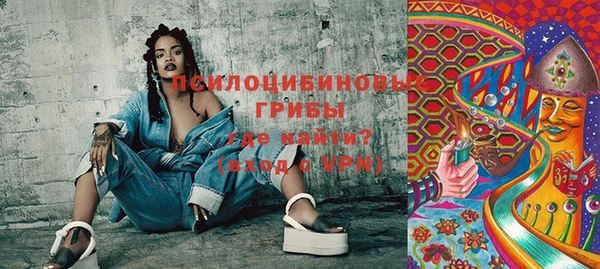 spice Новодвинск