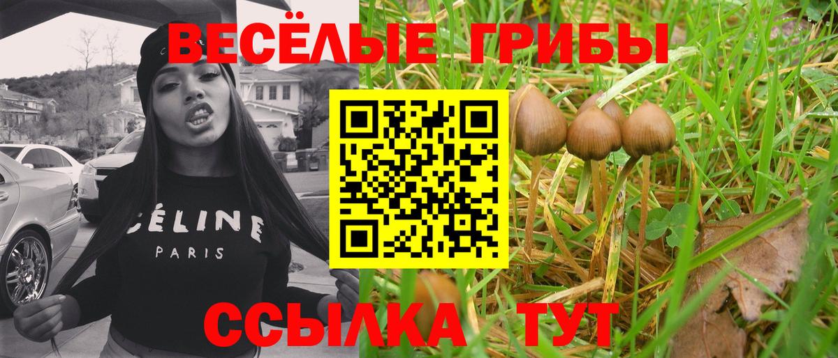 Славянск-на-Кубани  купить   Вход с VPN  Псилоцибиновые грибы Magic Shrooms 